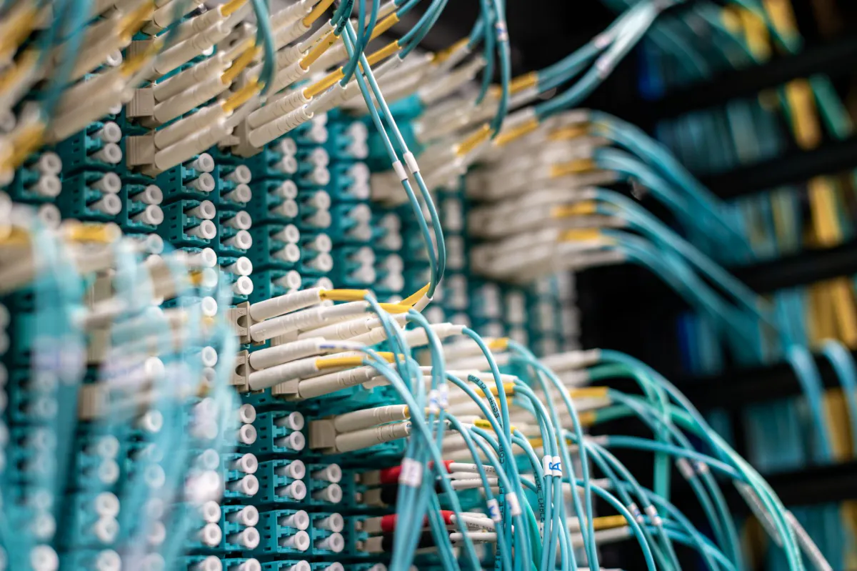 Network patch panel with numerous turquoise fibre-optic cables plugged into connectors, illustration
